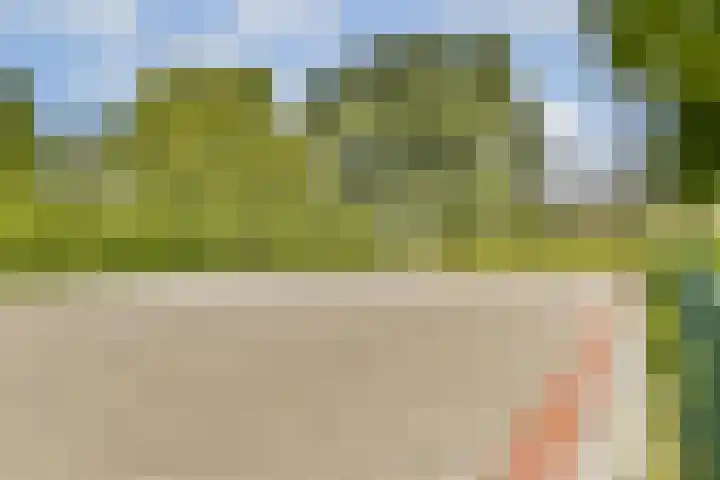Strekel 3 Oostzaan thumbnail 33
