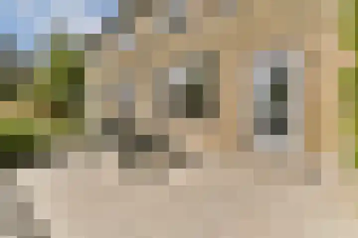 Strekel 3 Oostzaan thumbnail 5