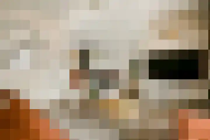 Strekel 3 Oostzaan thumbnail 8