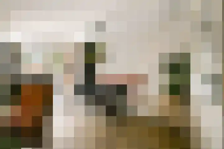 Strekel 3 Oostzaan thumbnail 9