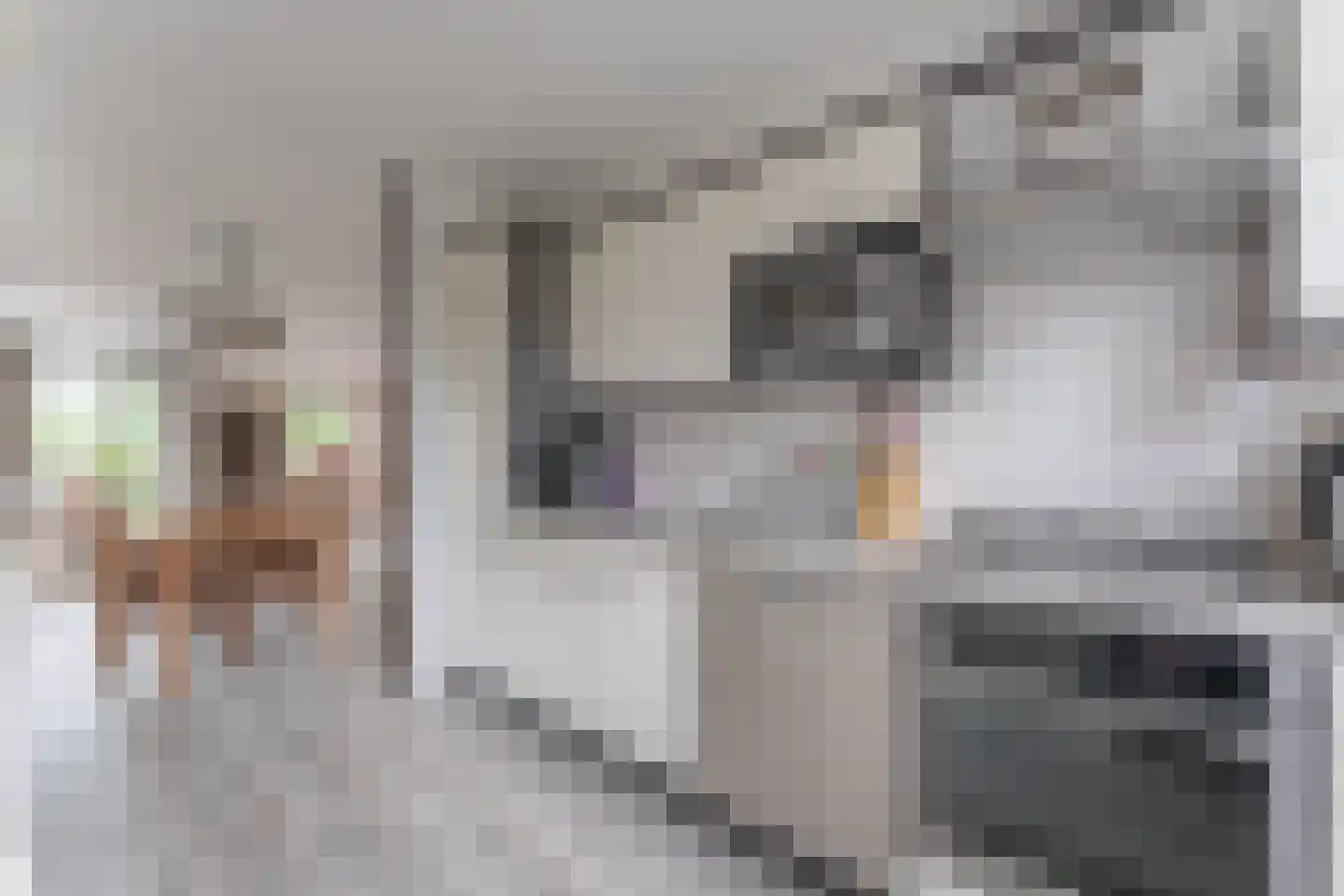 Strekel 30 Bovenkarspel thumbnail 21