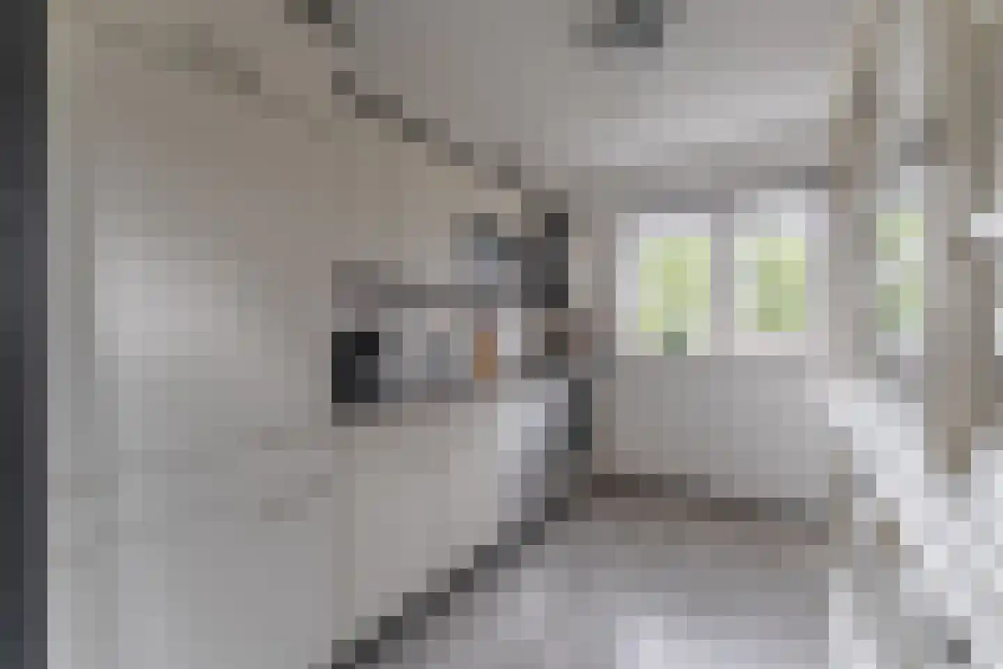 Strekel 30 Bovenkarspel thumbnail 22