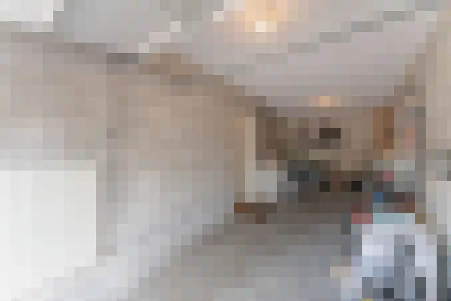 Strekel 30 Bovenkarspel thumbnail 24