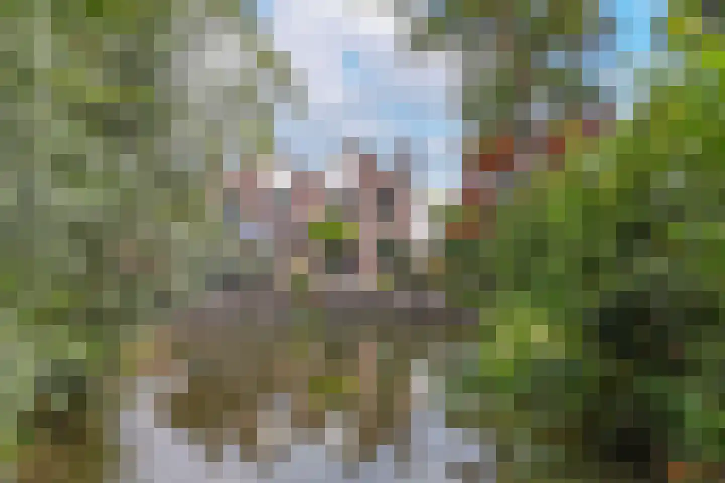 Strekel 30 Bovenkarspel thumbnail 45