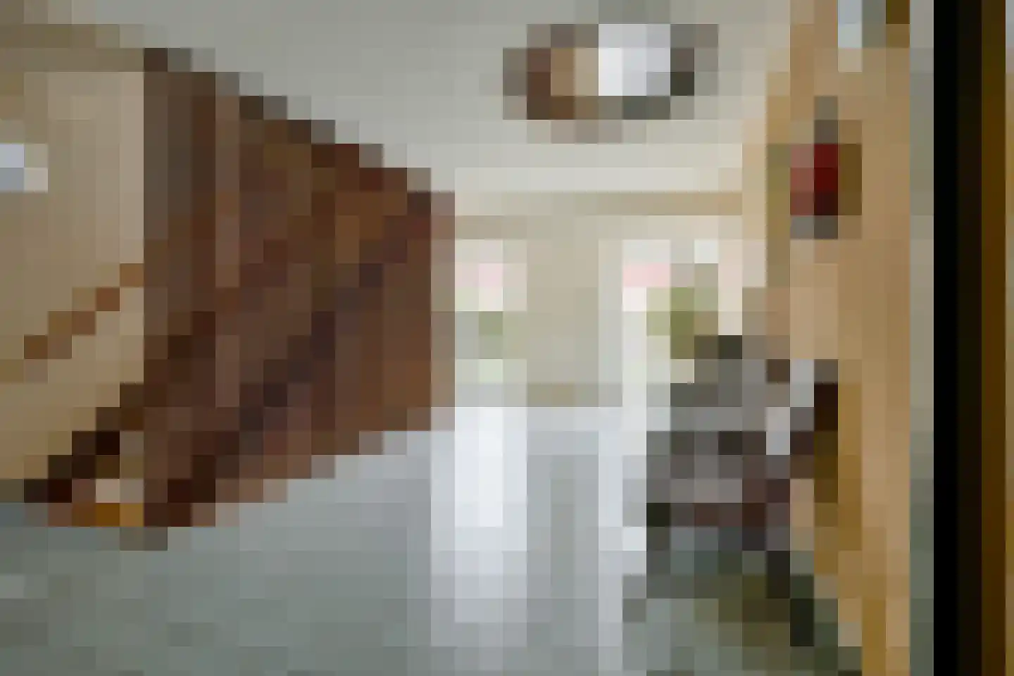 Strekel 4 Warmenhuizen thumbnail 15