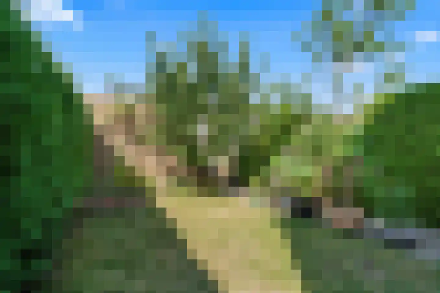 Strekelveld 2 Houten thumbnail 16