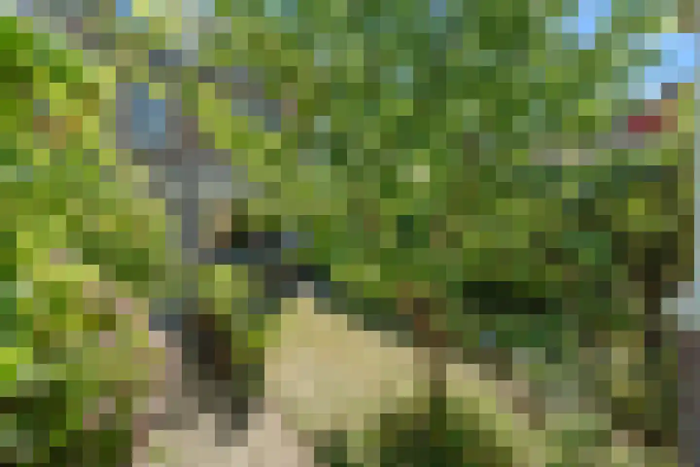 Strekelveld 2 Houten thumbnail 18