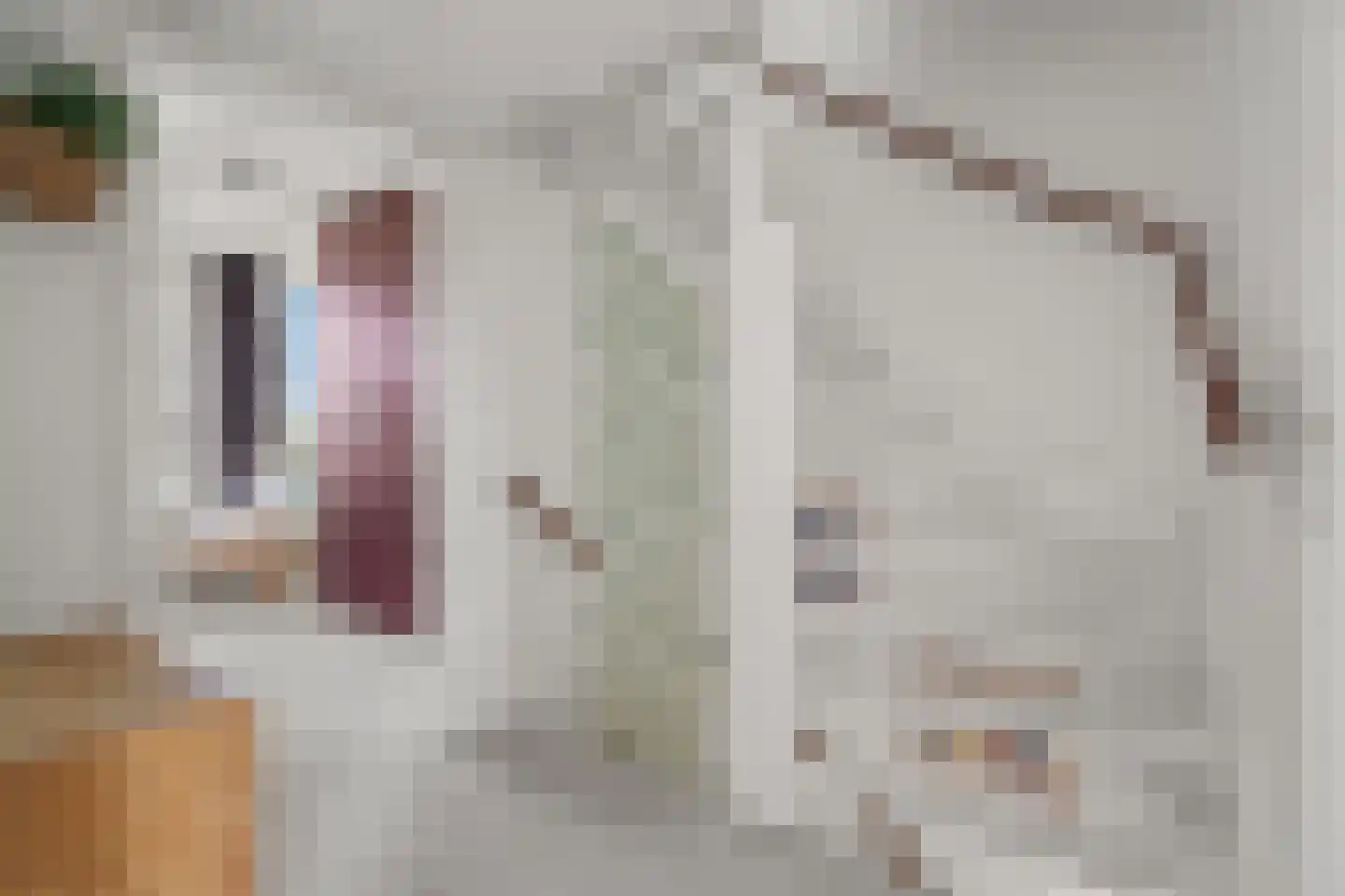 Strekelveld 2 Houten thumbnail 22
