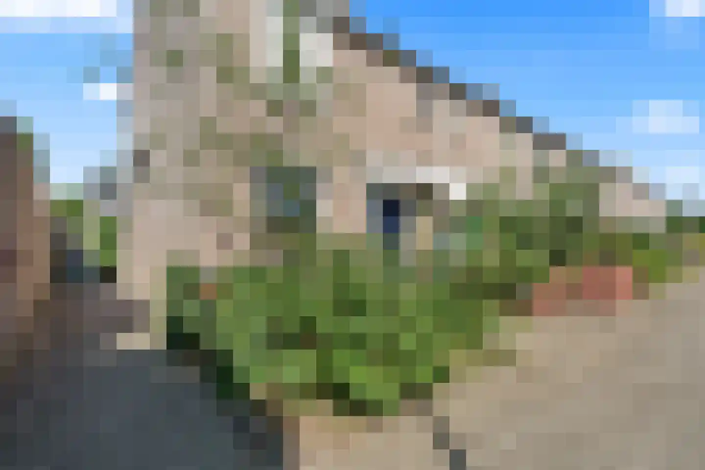 Strekelveld 2 Houten thumbnail 43