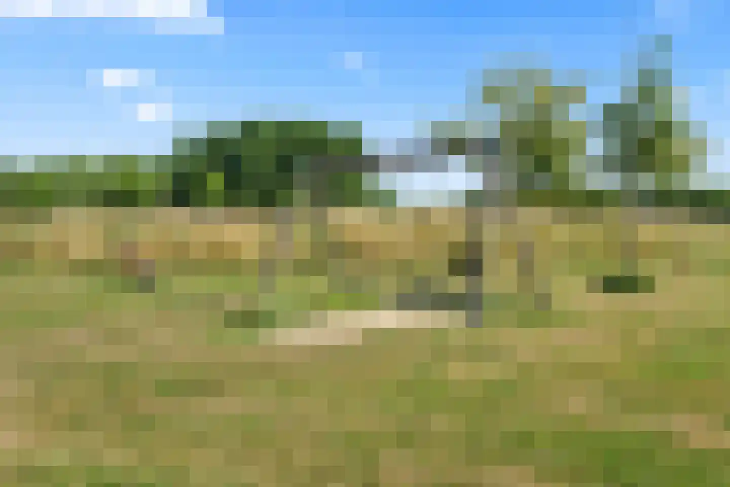 Strekelveld 2 Houten thumbnail 45
