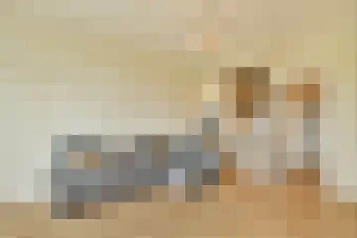 Streksingel 121 Rotterdam thumbnail 4