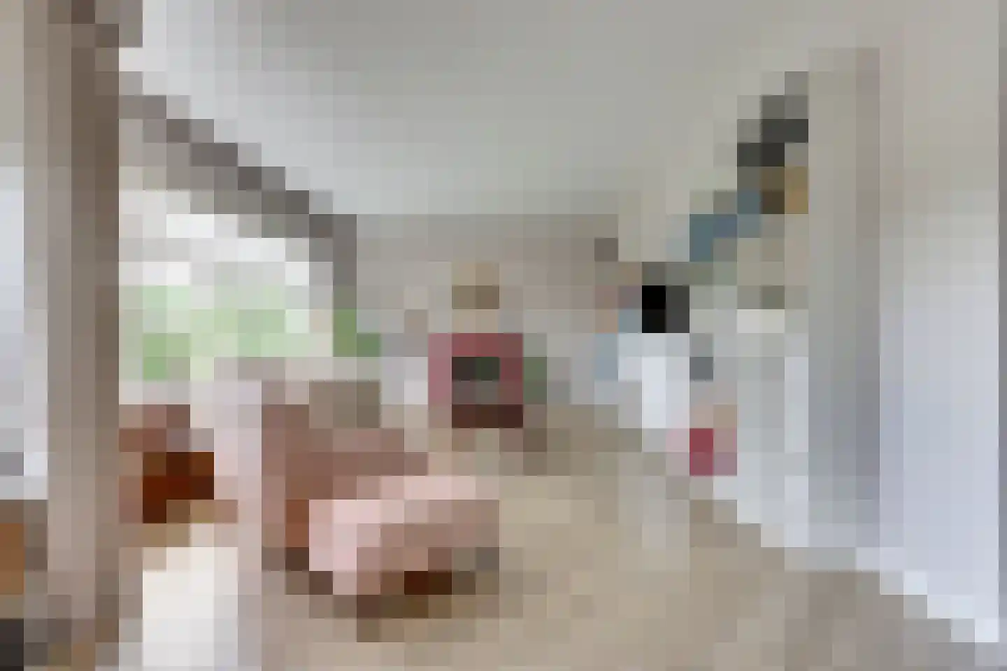 Streksingel 127 Rotterdam thumbnail 8