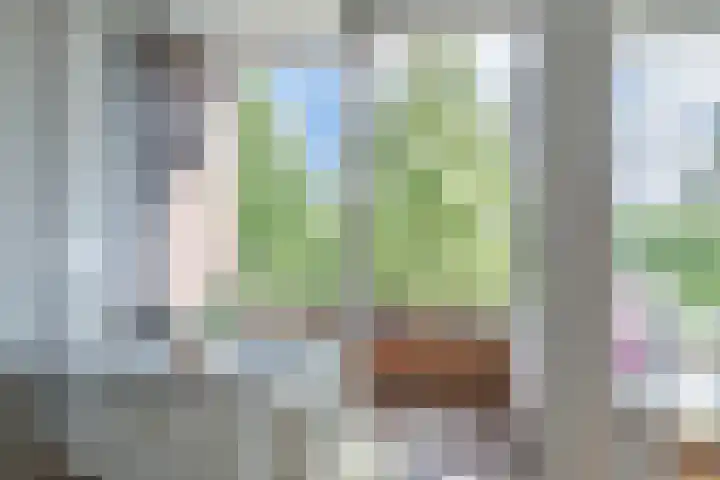 Streksingel 53 Rotterdam thumbnail 13