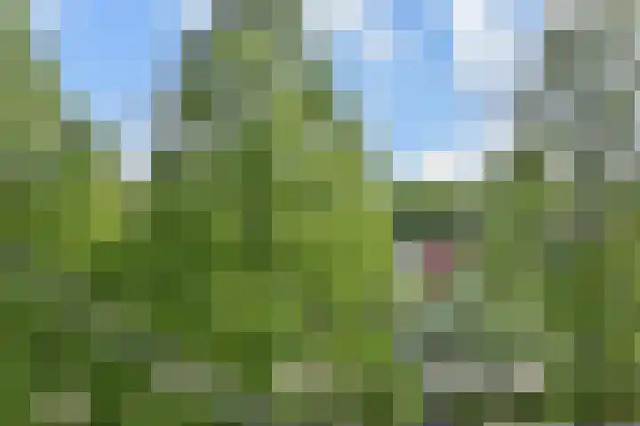 Streksingel 53 Rotterdam thumbnail 46