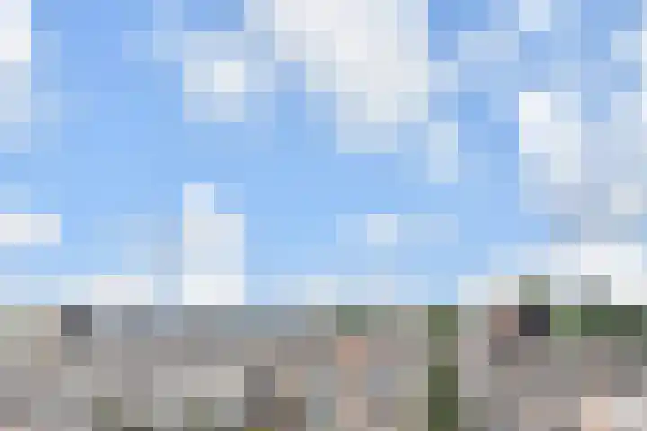 Streksingel 53 Rotterdam thumbnail 47
