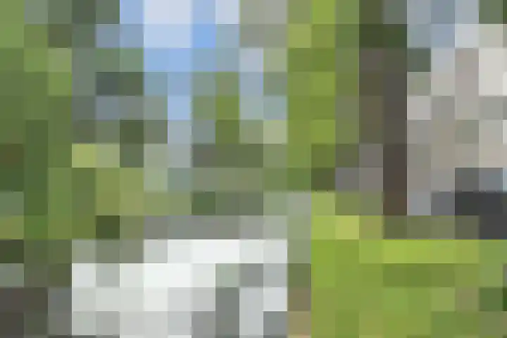 Streksingel 53 Rotterdam thumbnail 50