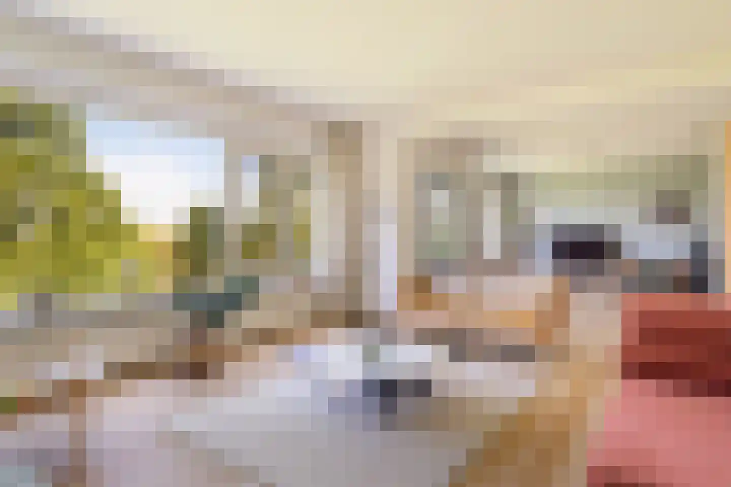 Streksingel 61 Rotterdam thumbnail 15
