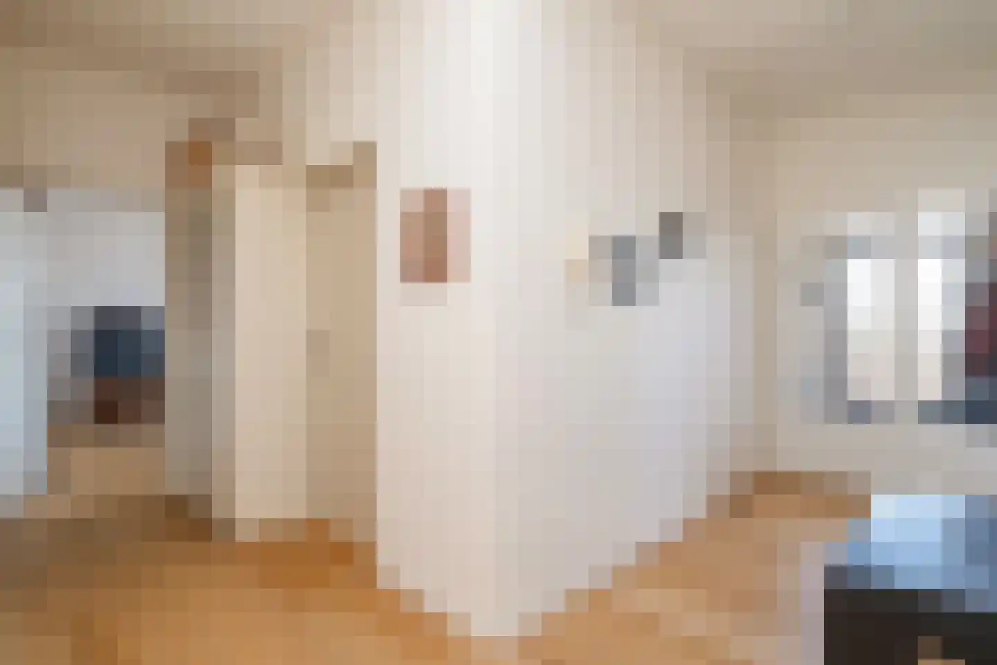 Streksingel 61 Rotterdam thumbnail 18