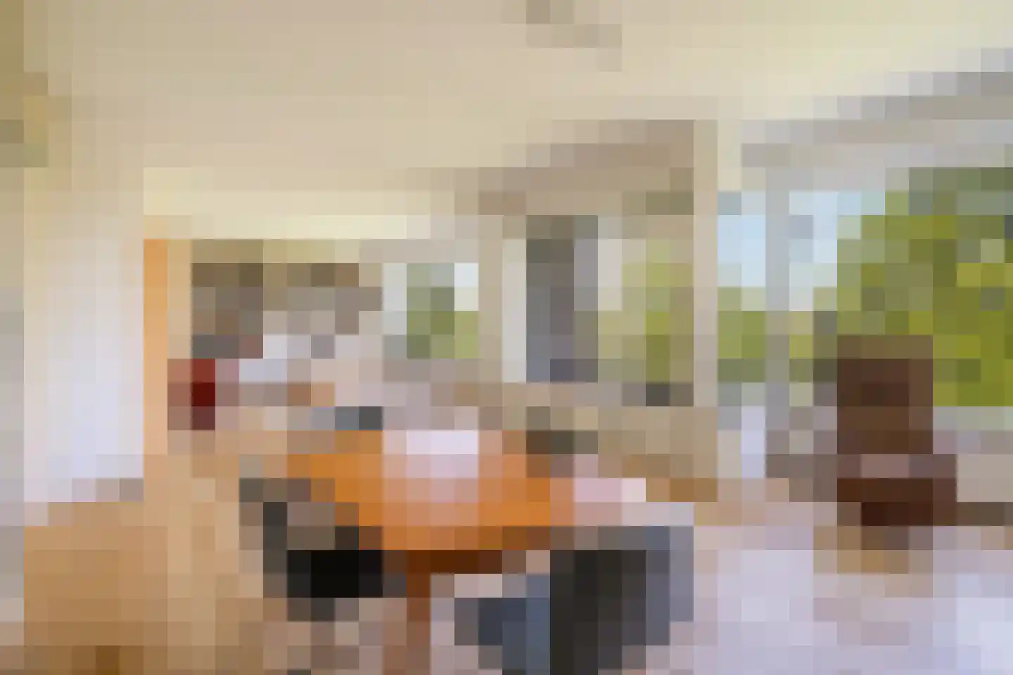 Streksingel 61 Rotterdam thumbnail 19