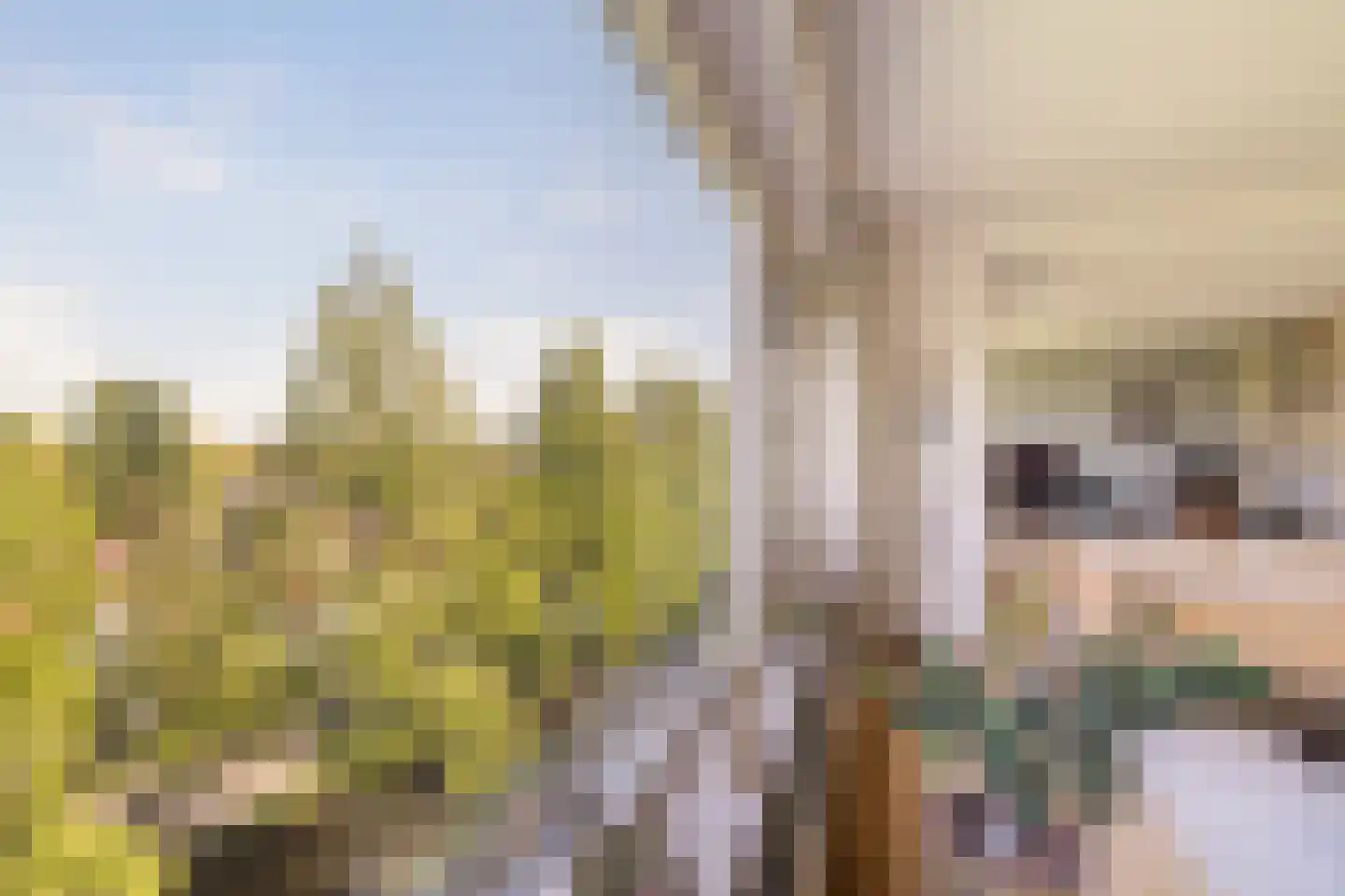 Streksingel 61 Rotterdam thumbnail 22