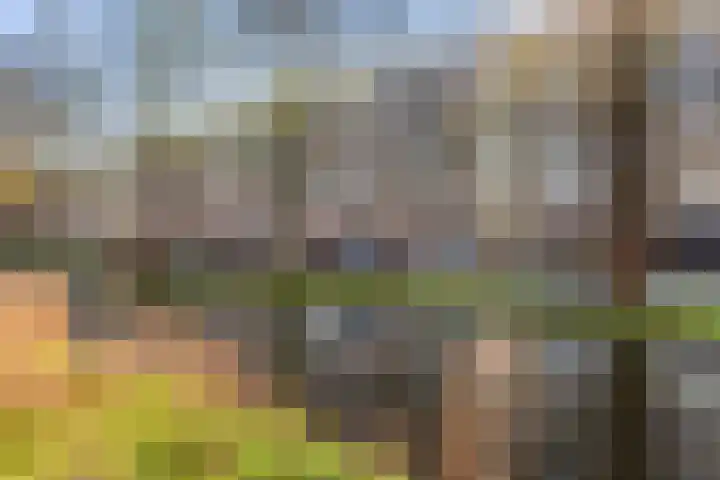 Streksingel 61 Rotterdam thumbnail 42