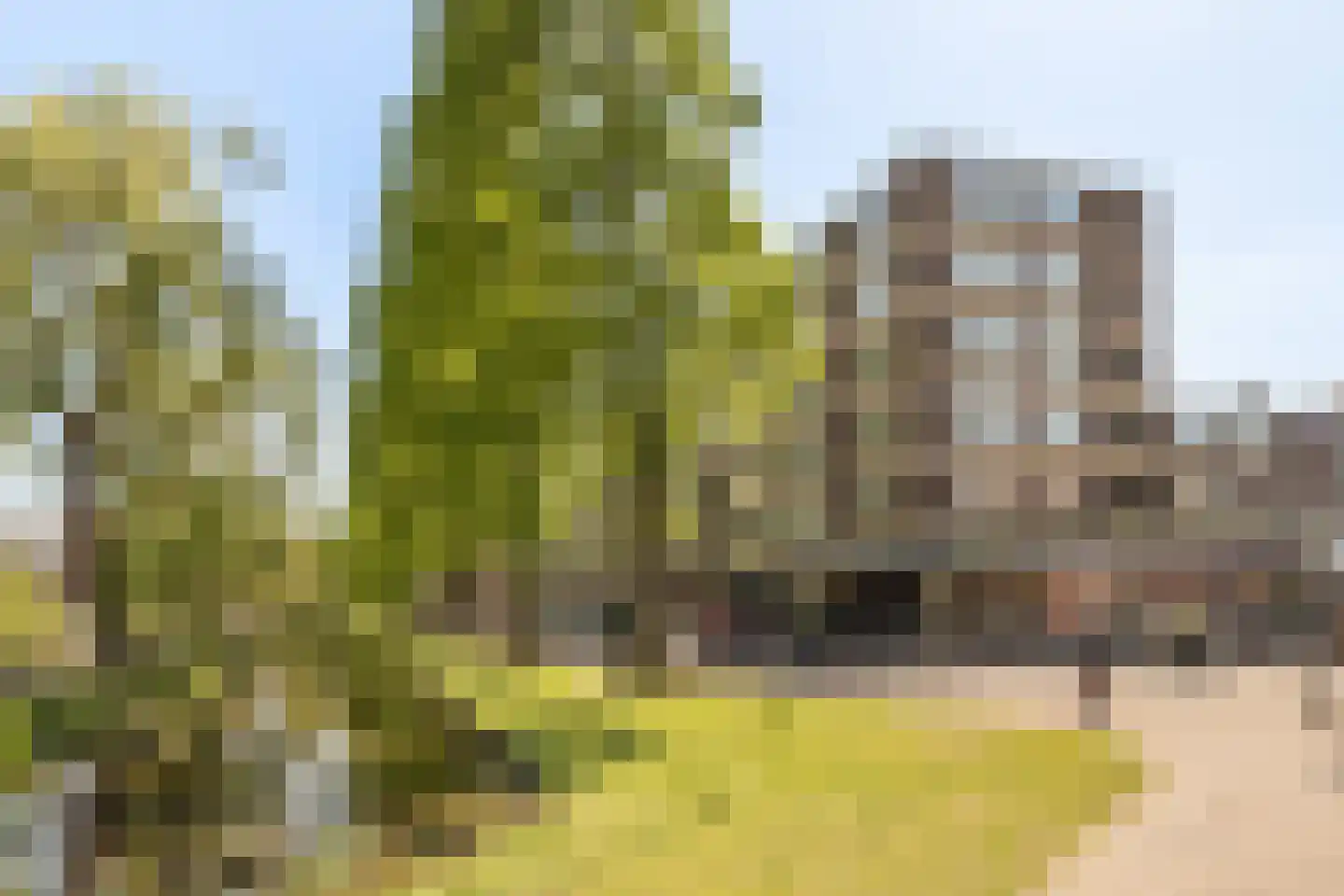 Streksingel 61 Rotterdam thumbnail 47