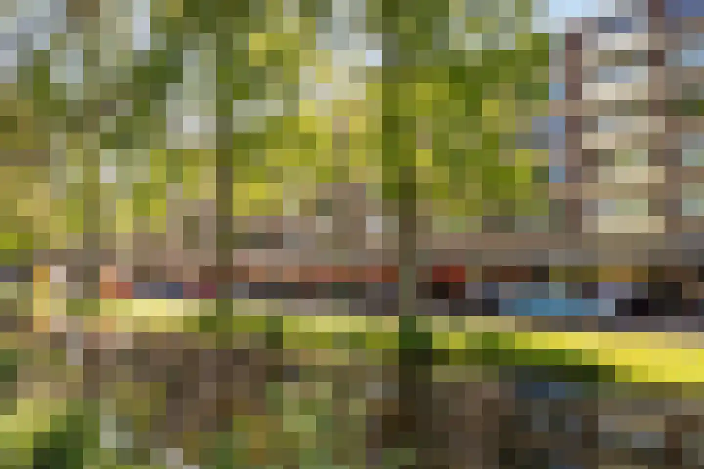 Streksingel 61 Rotterdam thumbnail 6