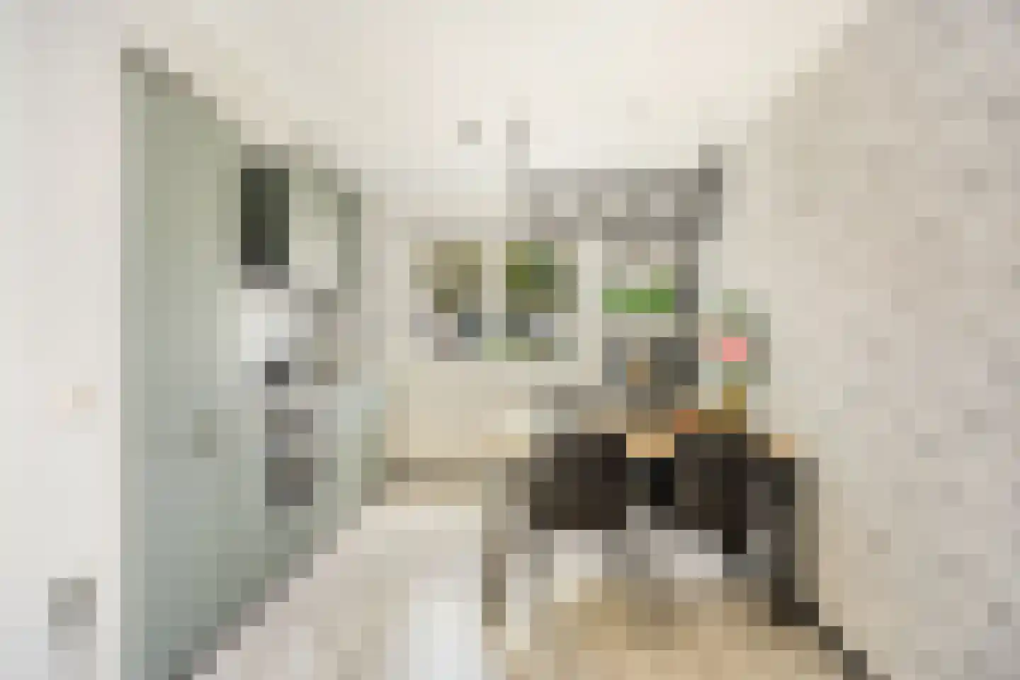Stremselstraat 12 Purmerend thumbnail 10