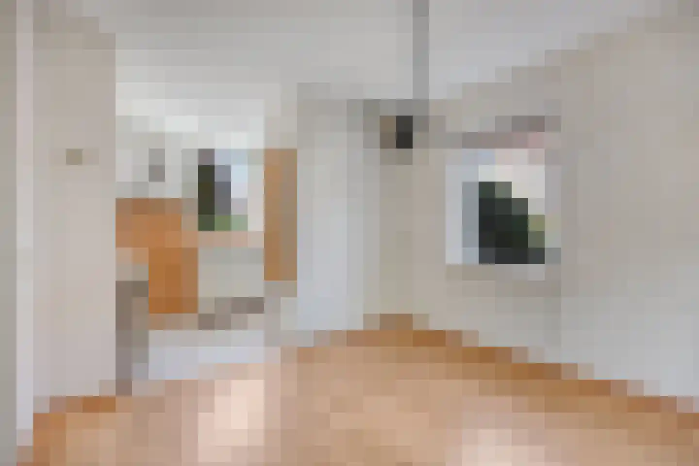 Stremselstraat 29 Purmerend thumbnail 8