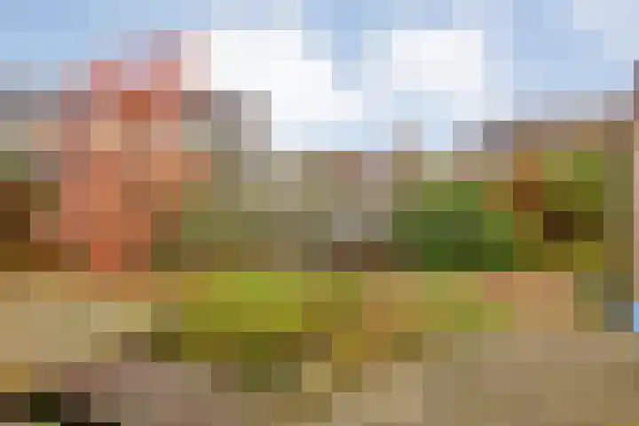 Strengakkers 2 Annen thumbnail 37