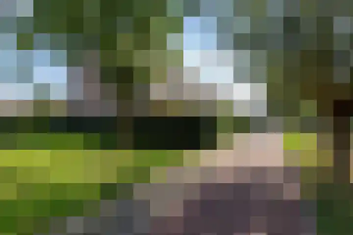 Strengen 100 Oudewater thumbnail 33