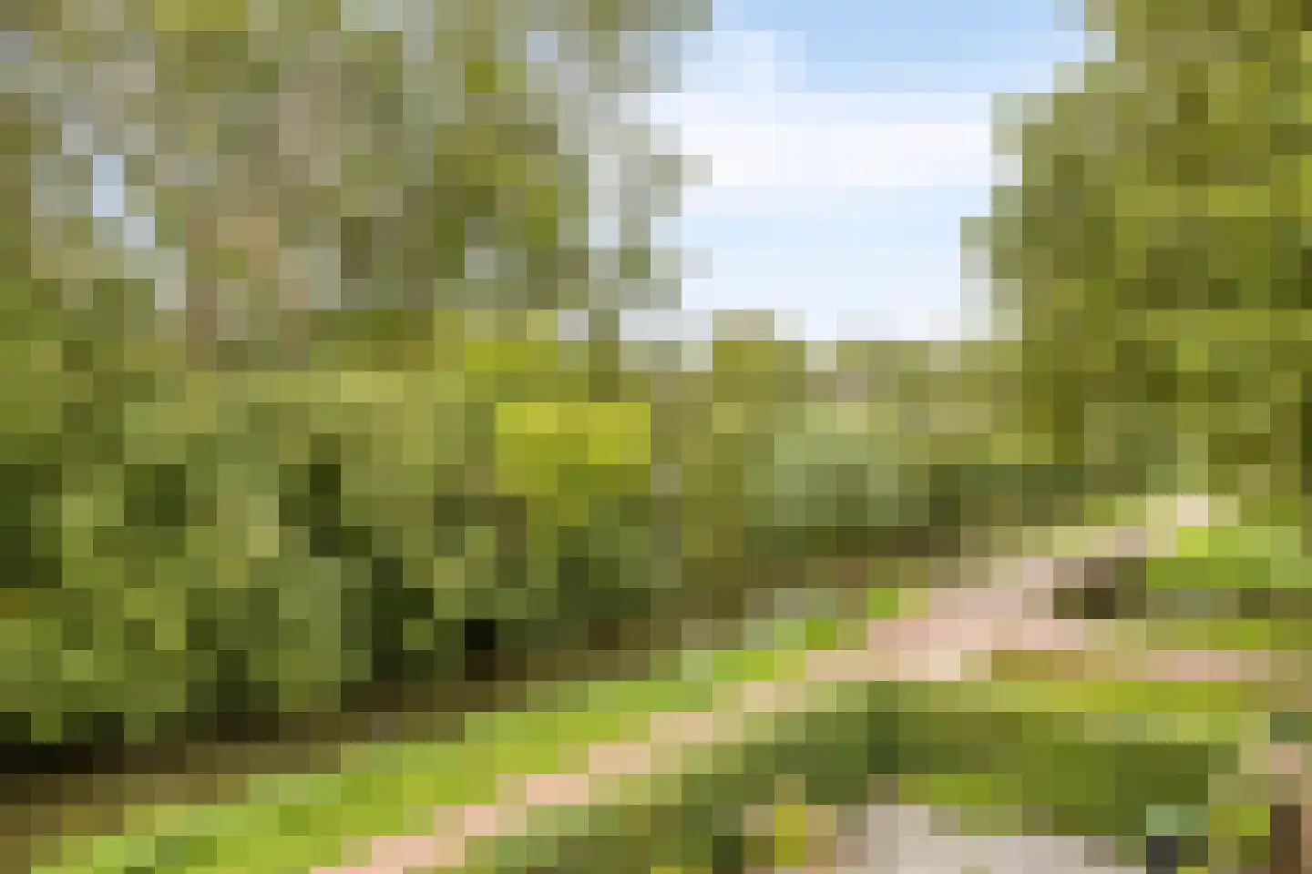 Strengen 26 Oudewater thumbnail 18