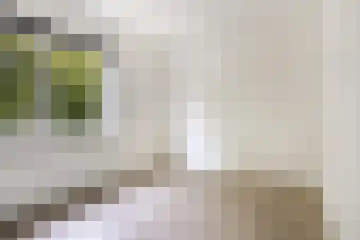 Strengen 32 Oudewater thumbnail 8