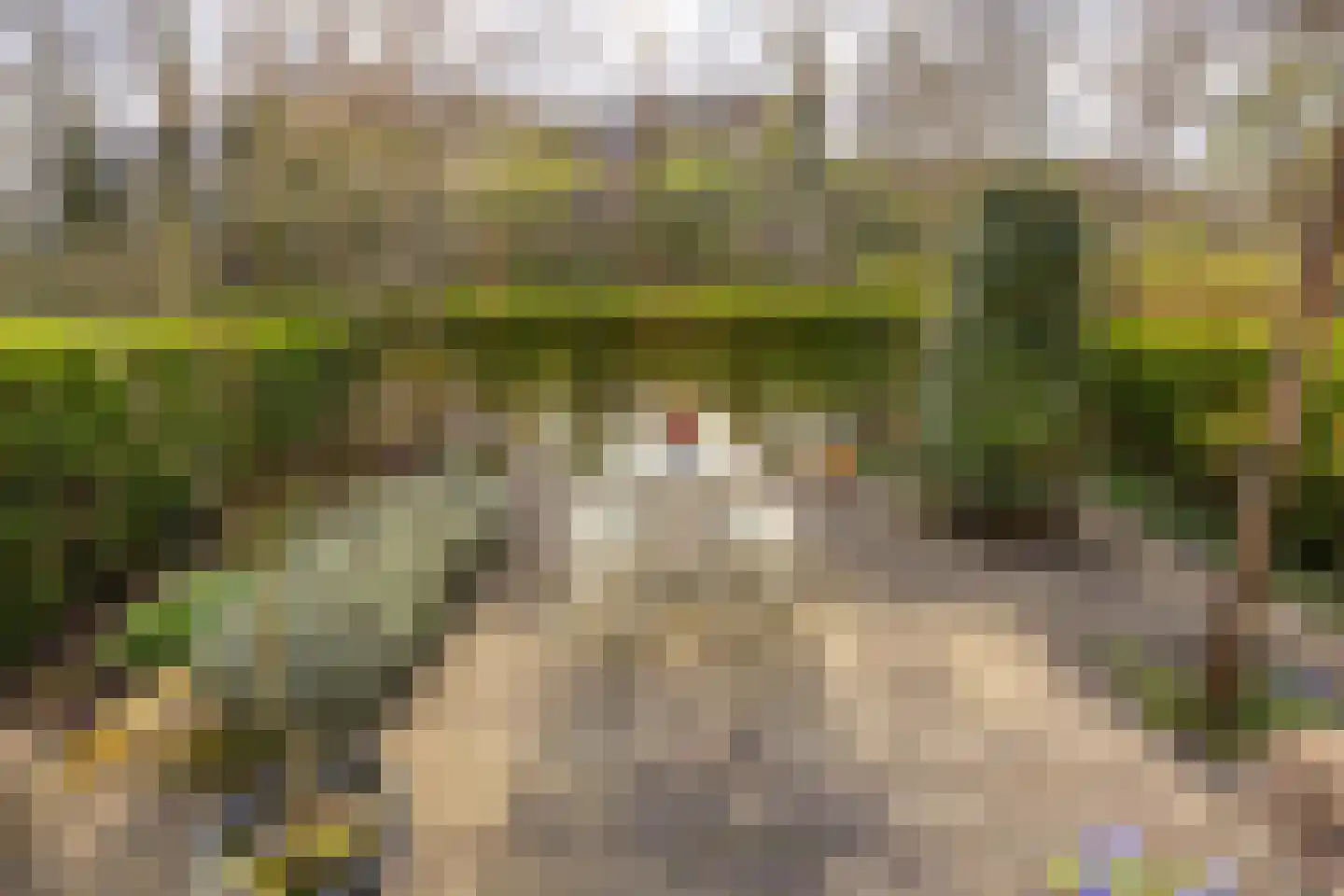 Strengen 48 Oudewater thumbnail 24