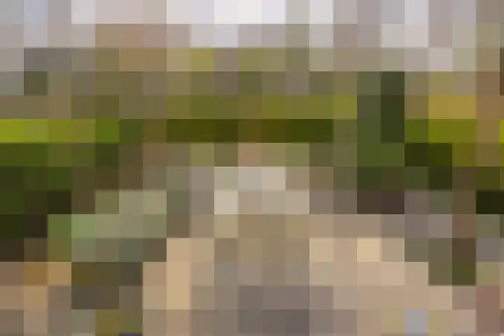 Strengen 48 Oudewater thumbnail 24
