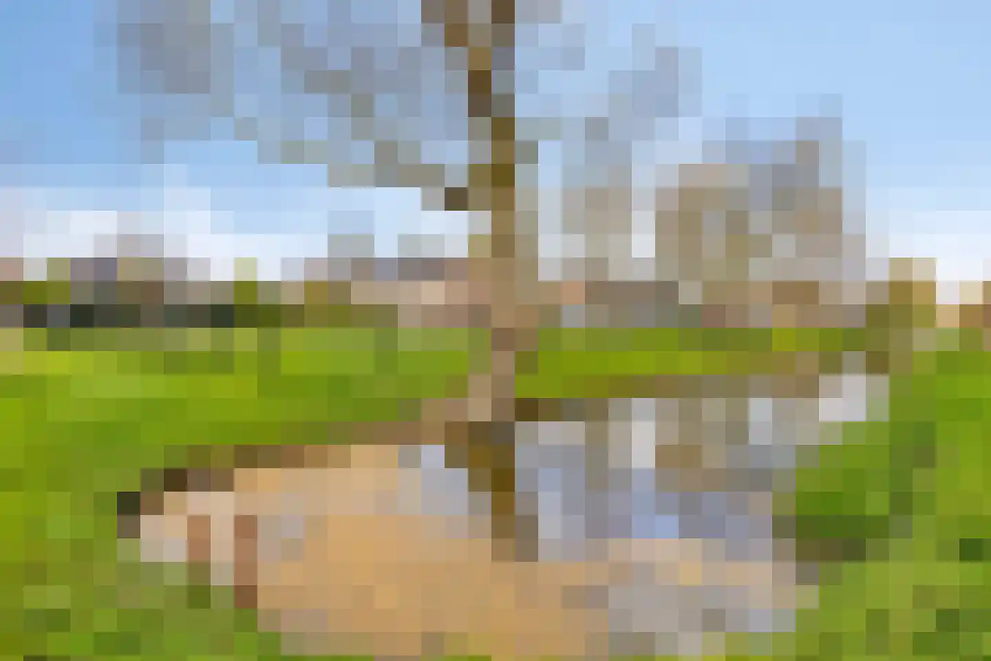 Strengen 67 Oudewater thumbnail 32