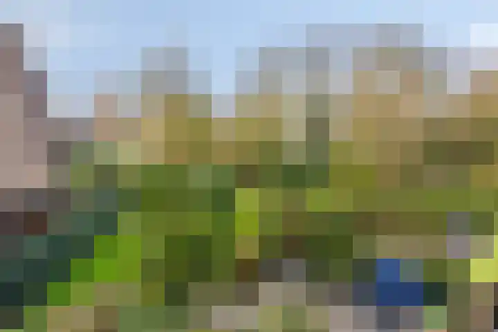 Strengen 74 Oudewater thumbnail 13