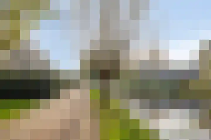 Strengen 74 Oudewater thumbnail 28