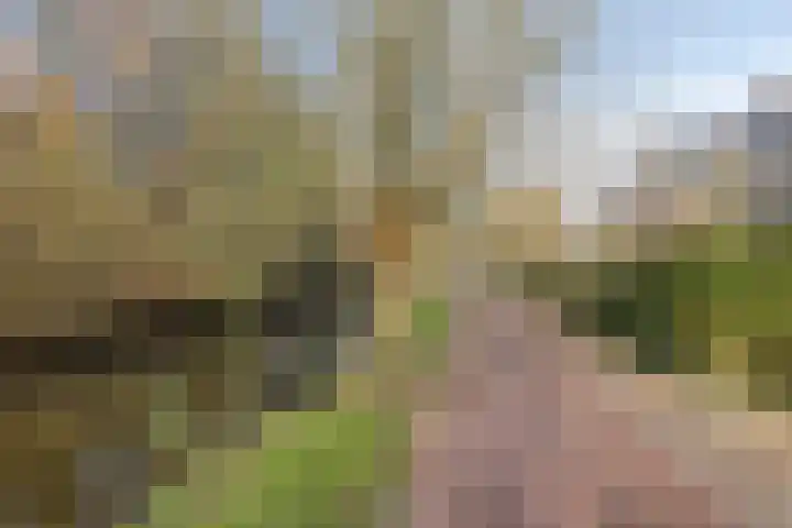 Strengen 74 Oudewater thumbnail 29