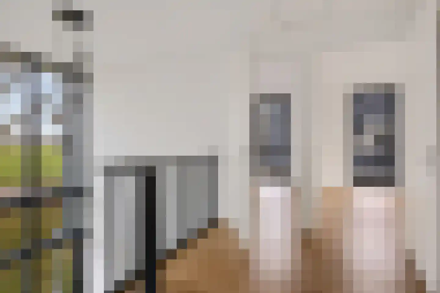Strengenweg 1 H Borger thumbnail 20