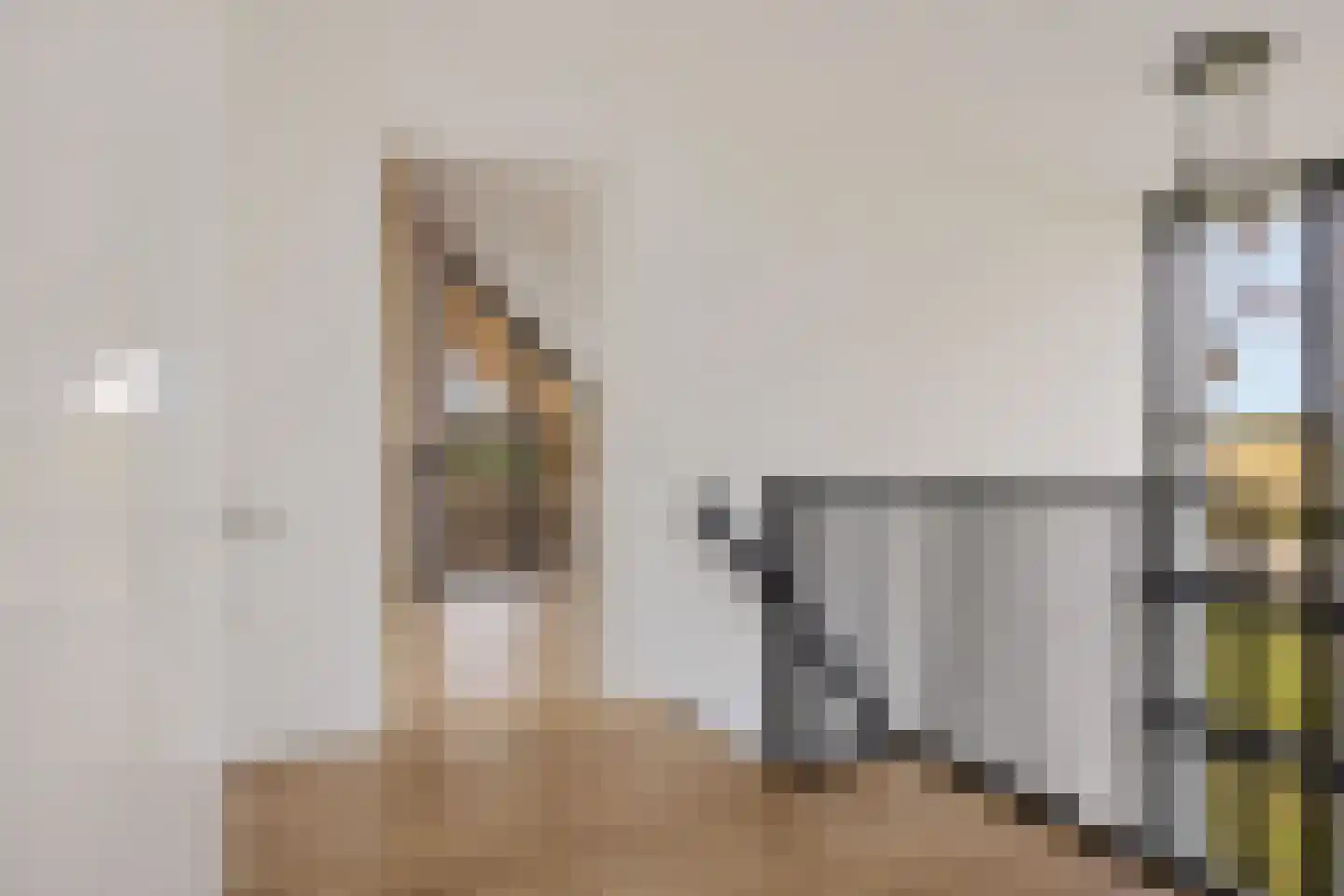 Strengenweg 1 H Borger thumbnail 21