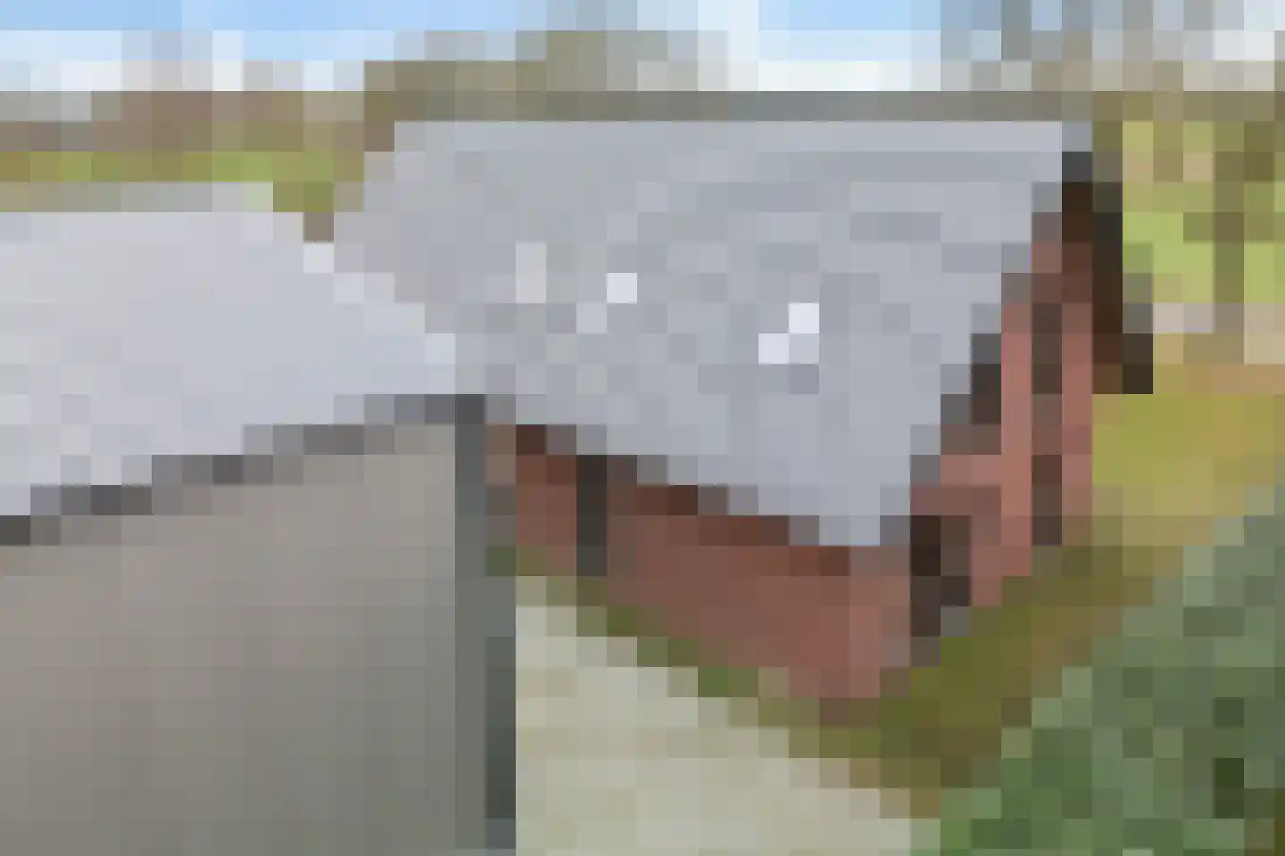 Strengenweg 1 H Borger thumbnail 41