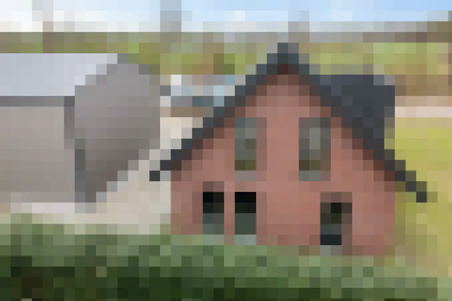 Strengenweg 1 H Borger thumbnail 42