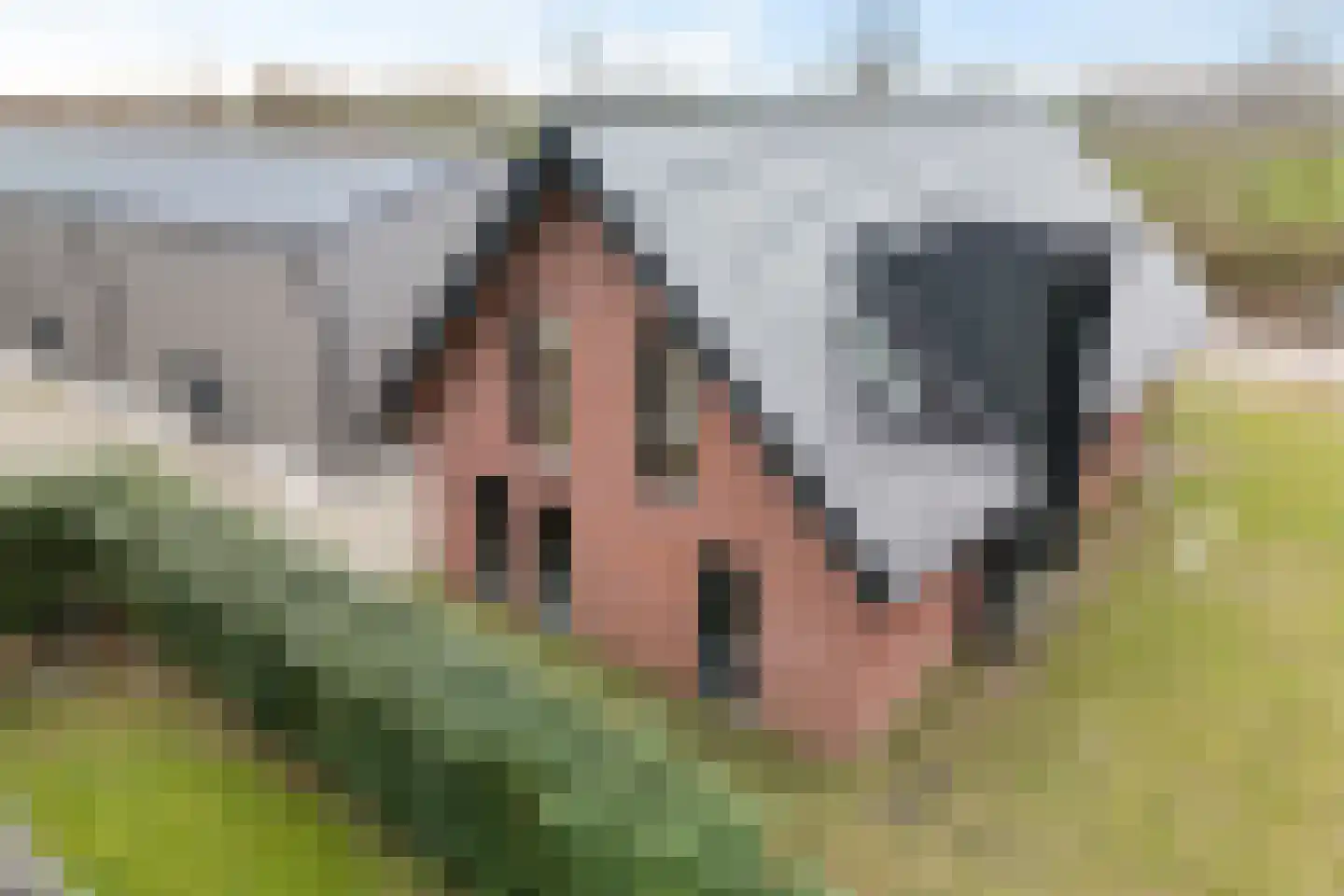 Strengenweg 1 H Borger thumbnail 43