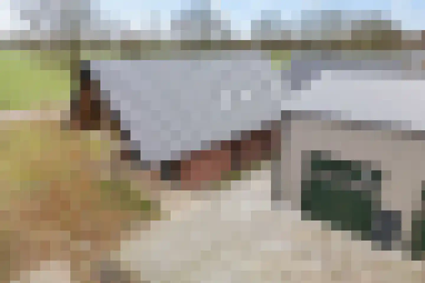Strengenweg 1 H Borger thumbnail 48