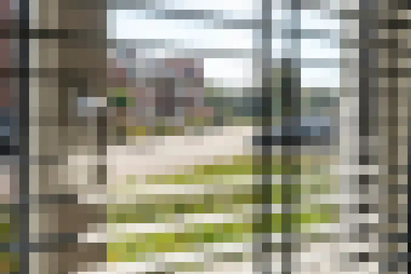Strengpers 11 Druten thumbnail 12