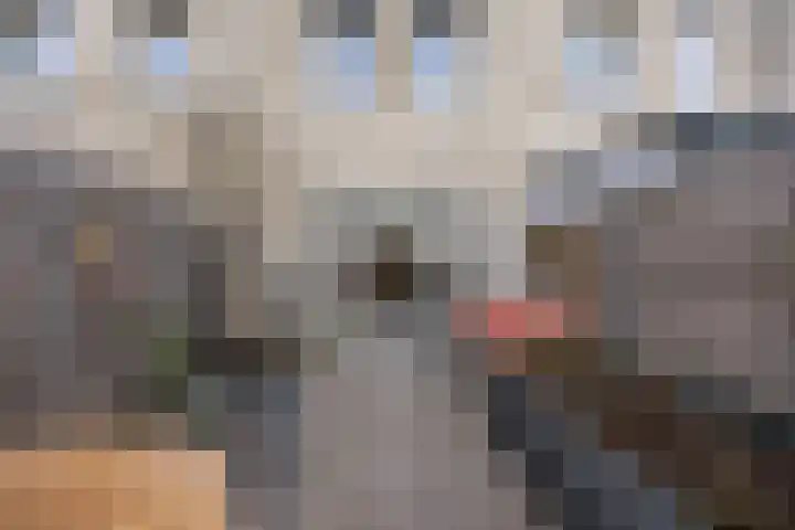 Strengpers 17 Druten thumbnail 32