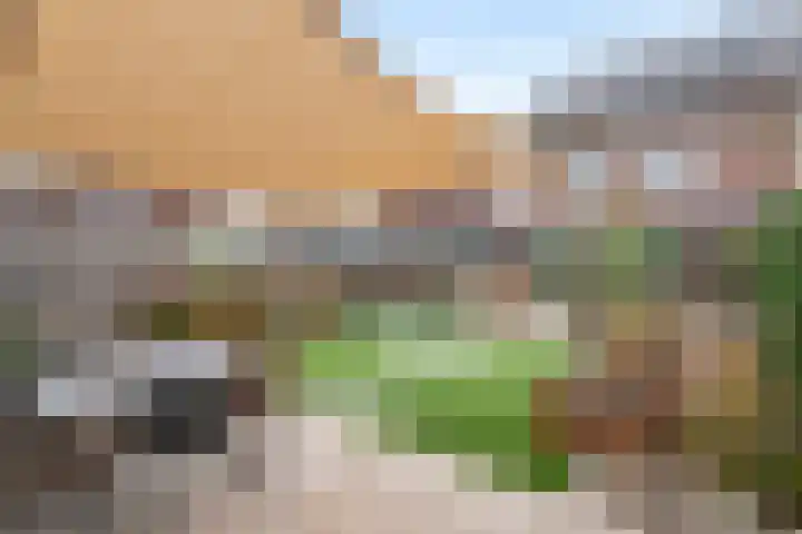 Strengpers 18 Druten thumbnail 34