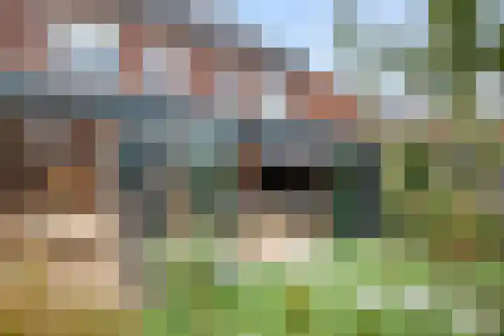Strengpers 18 Druten thumbnail 36