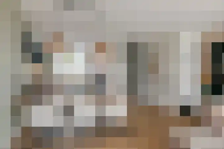 Strengpers 18 Druten thumbnail 8